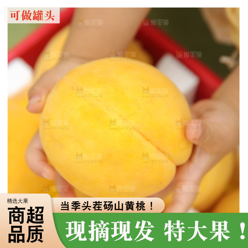 手里拿着炎陵黄桃
