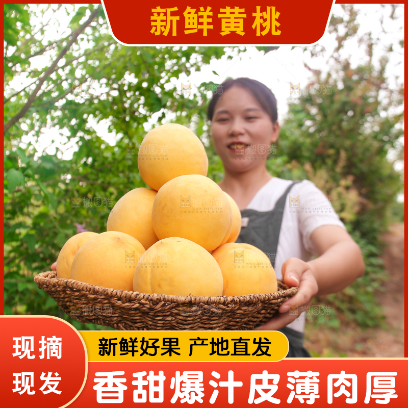 手里拿着炎陵黄桃