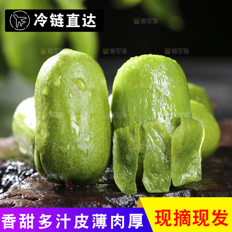 深底上的软枣猕猴桃