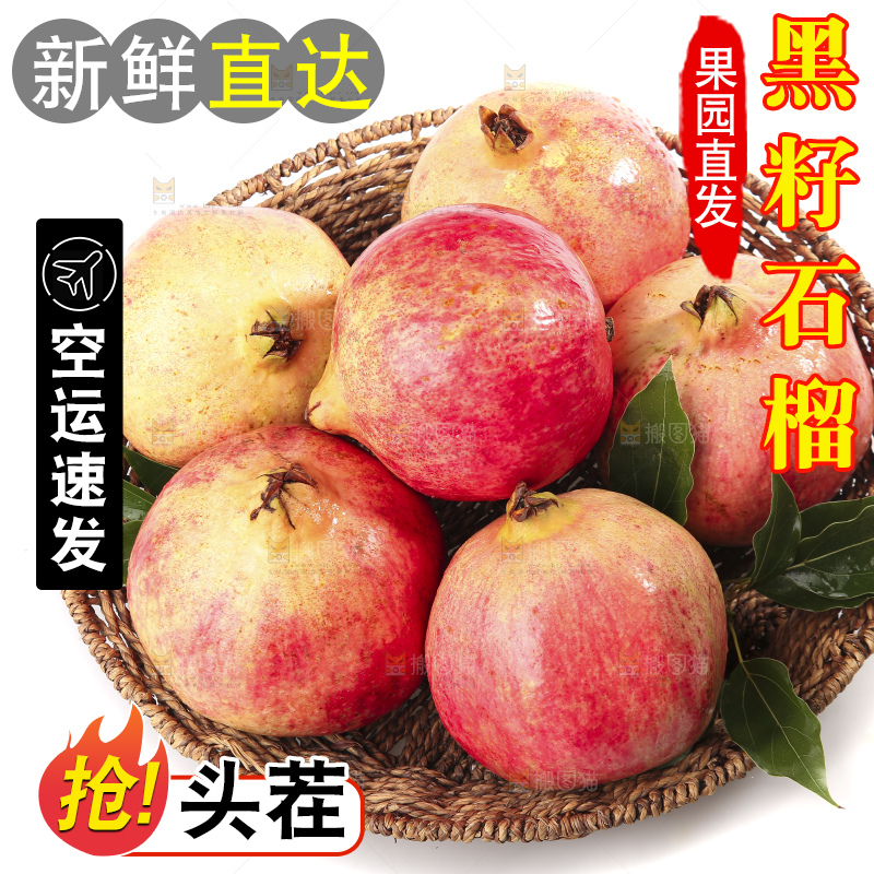 白底上的突尼斯软籽石榴
