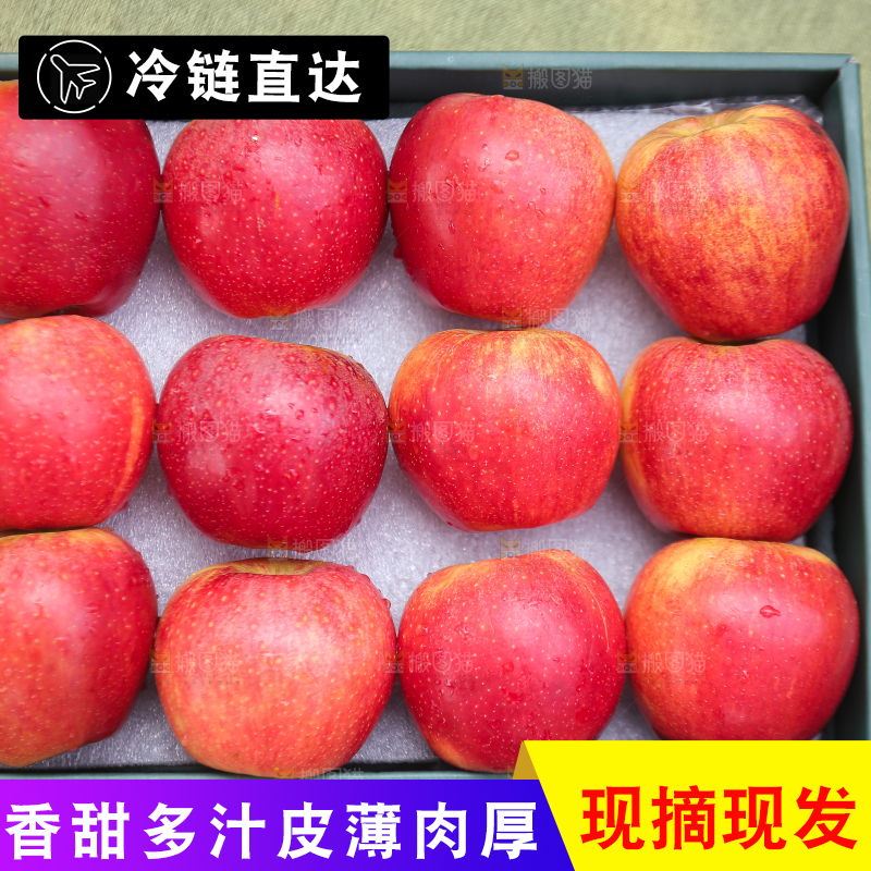 手里拿着高原红苹果