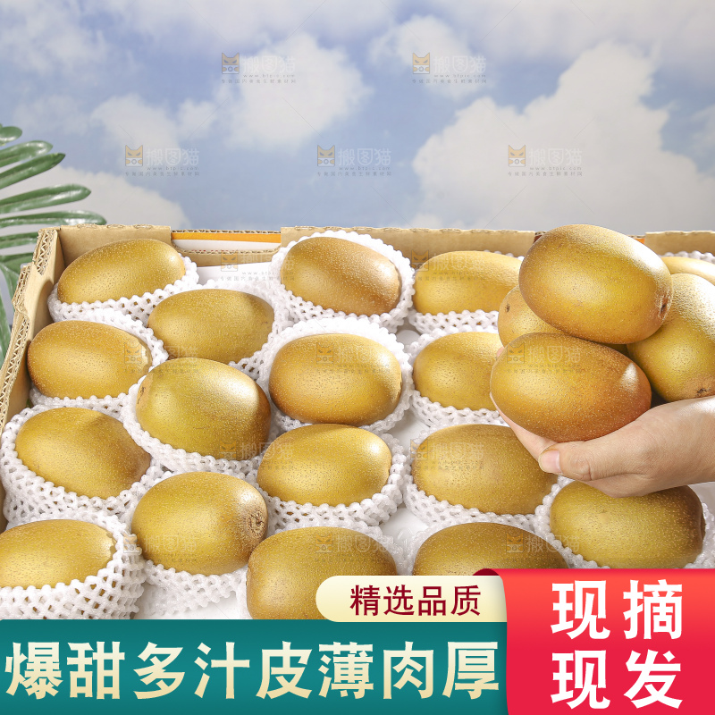 深底上放着佳沛奇异果