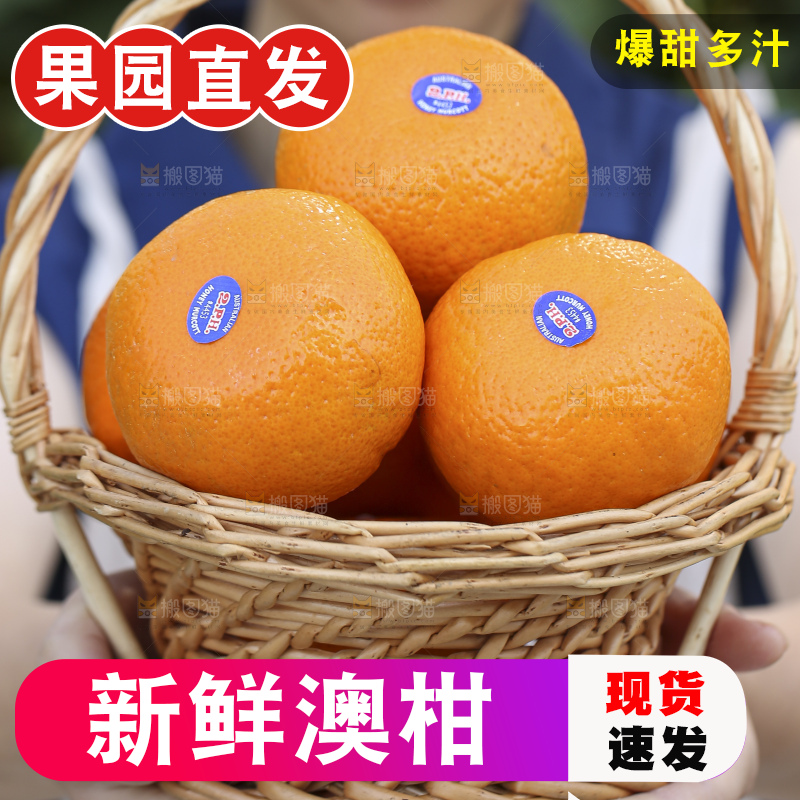 手里拿着进口澳柑