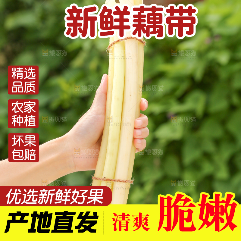 手里拿着藕带