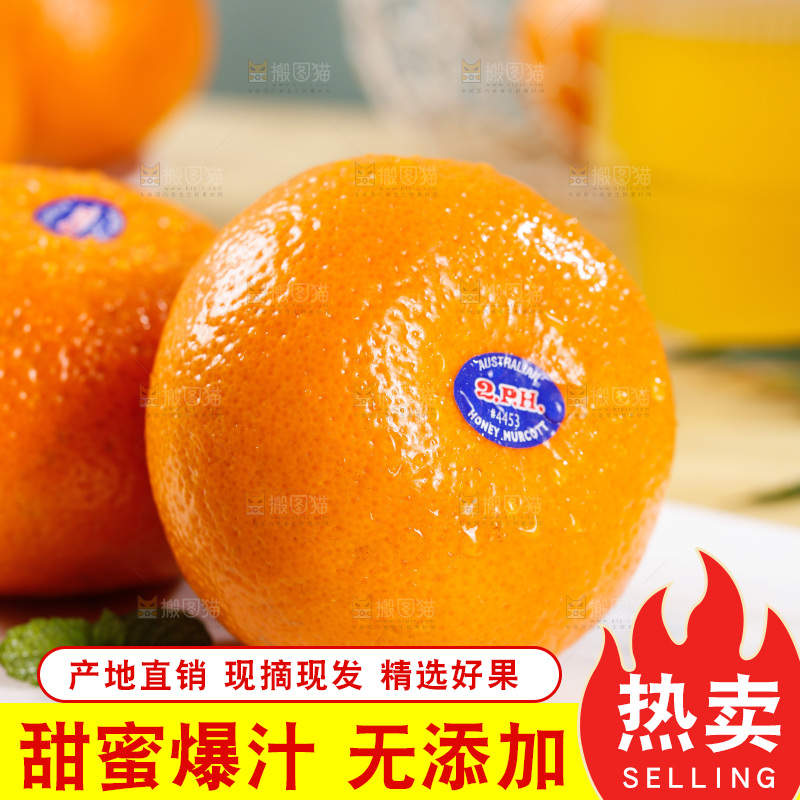 浅底上的新鲜澳柑