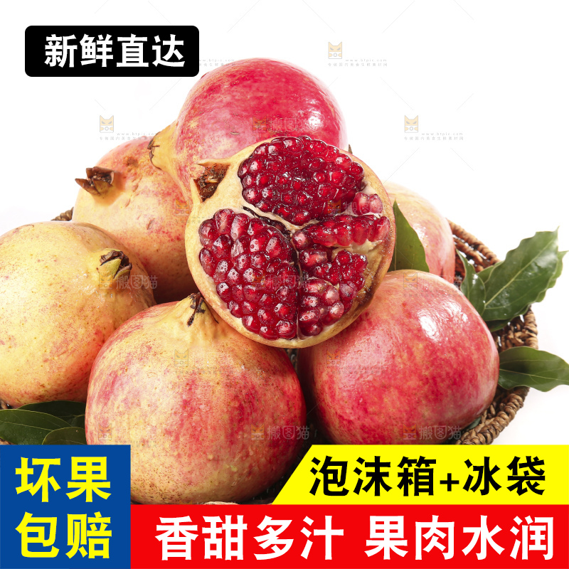 白底上的突尼斯软籽石榴
