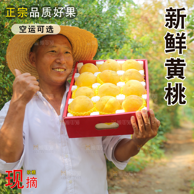 手里拿着炎陵黄桃