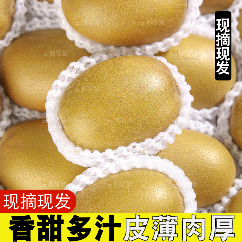 深底上放着佳沛奇异果