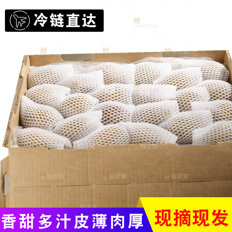 白底上的佳沛奇异果