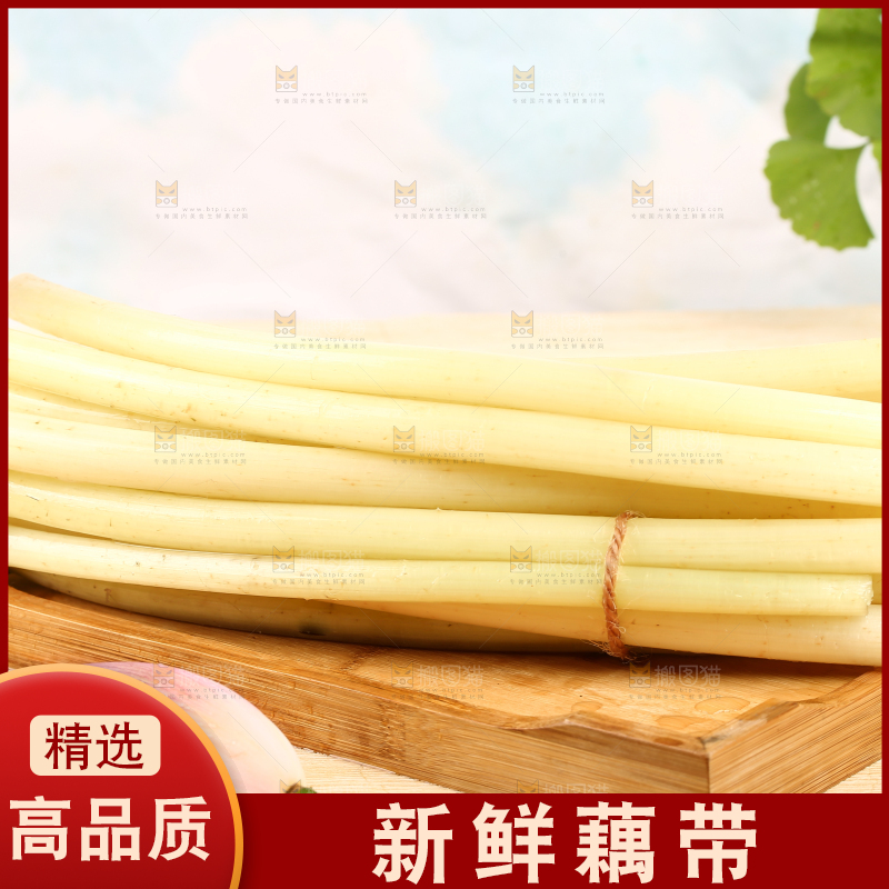 浅底上的藕带