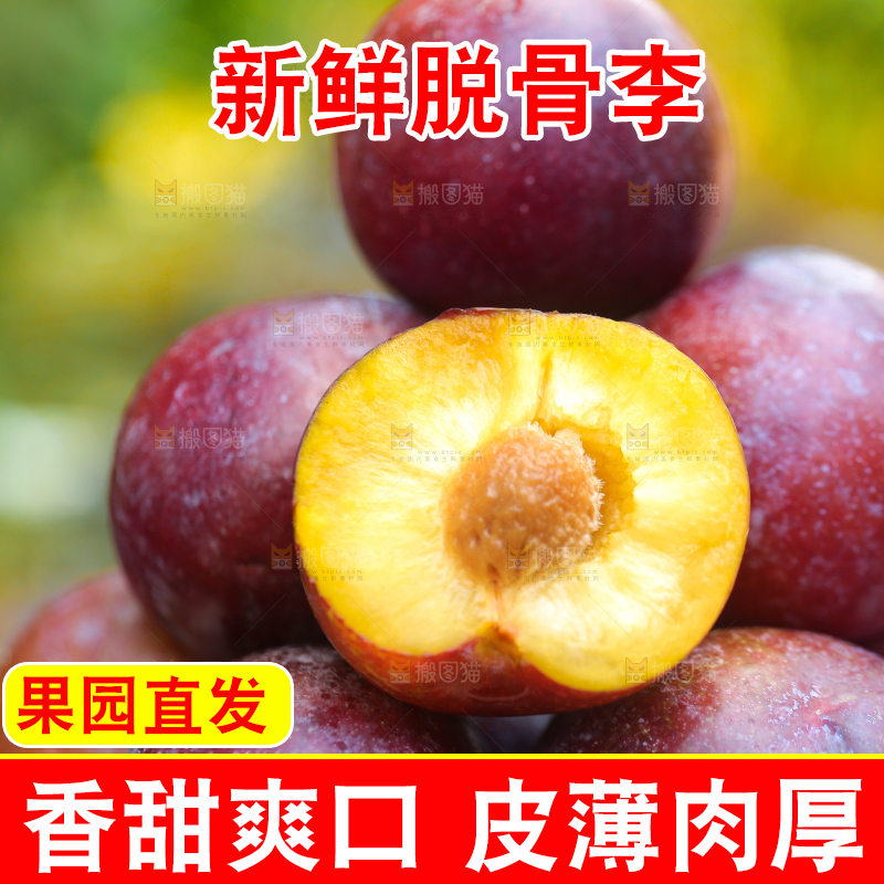 木底上放着红脱骨李