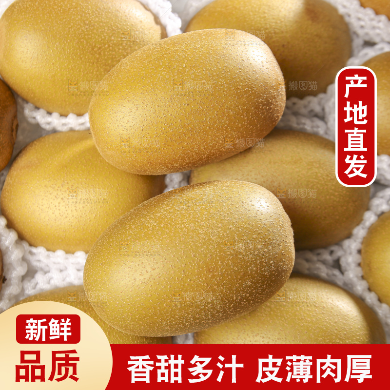 深底上放着佳沛奇异果