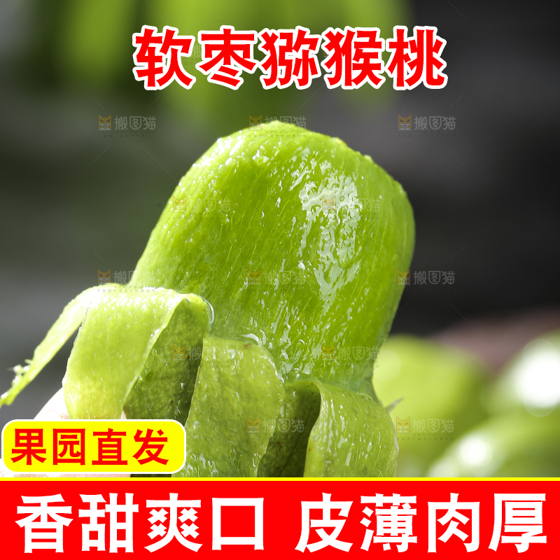 深底上的软枣猕猴桃
