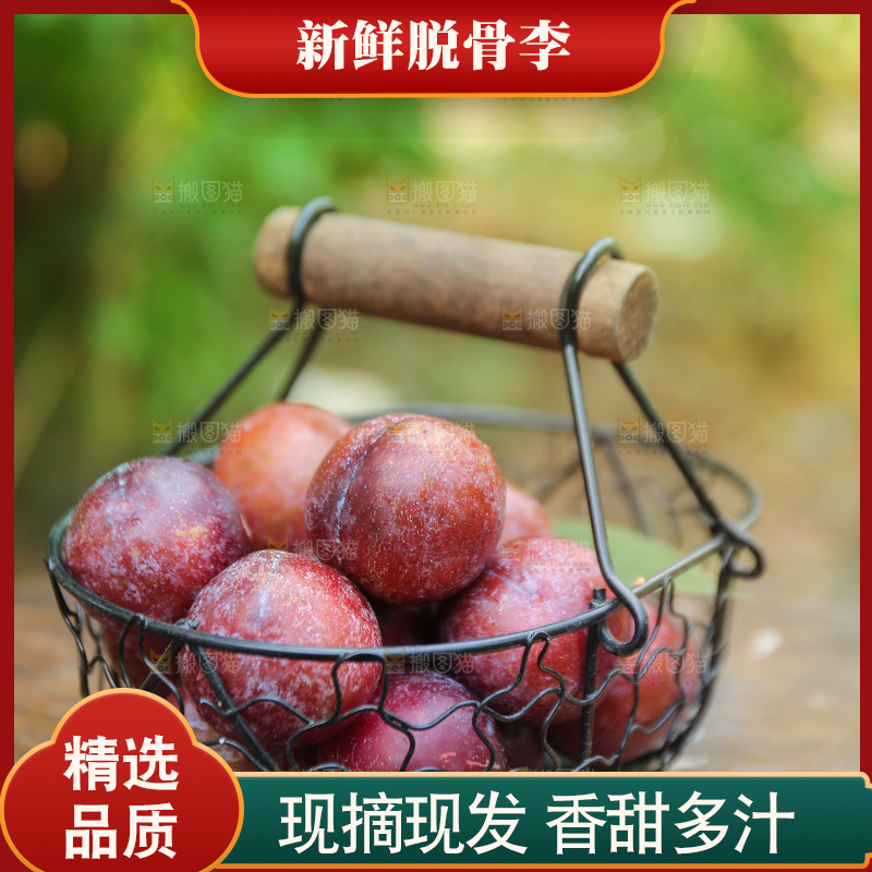 木底上放着红脱骨李