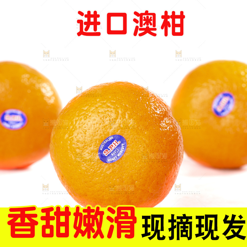 白底上放着新鲜澳柑