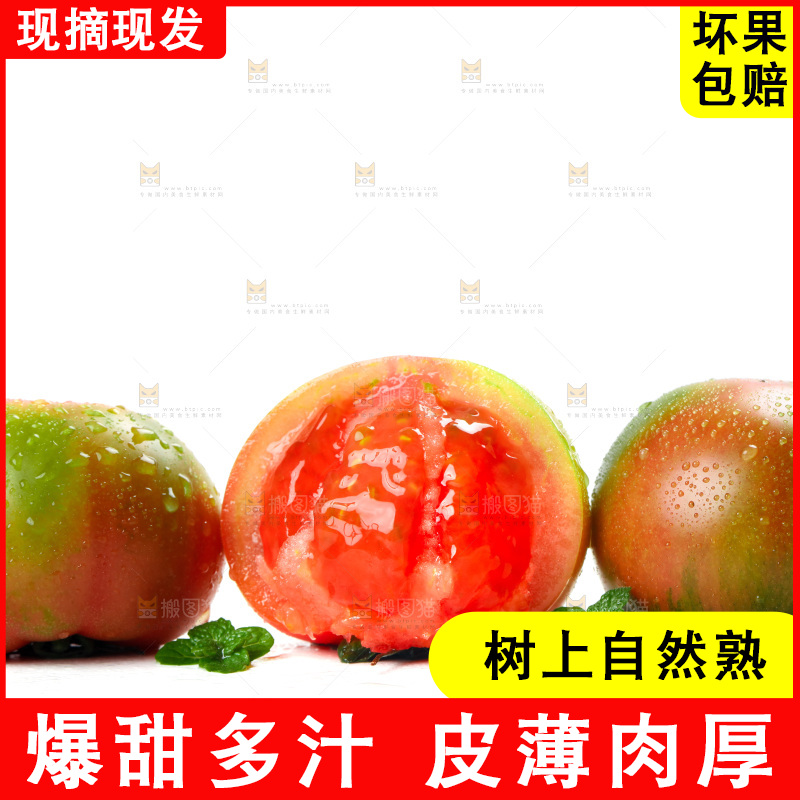 白底上放着铁皮西红柿