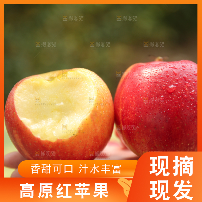 手里拿着高原红苹果
