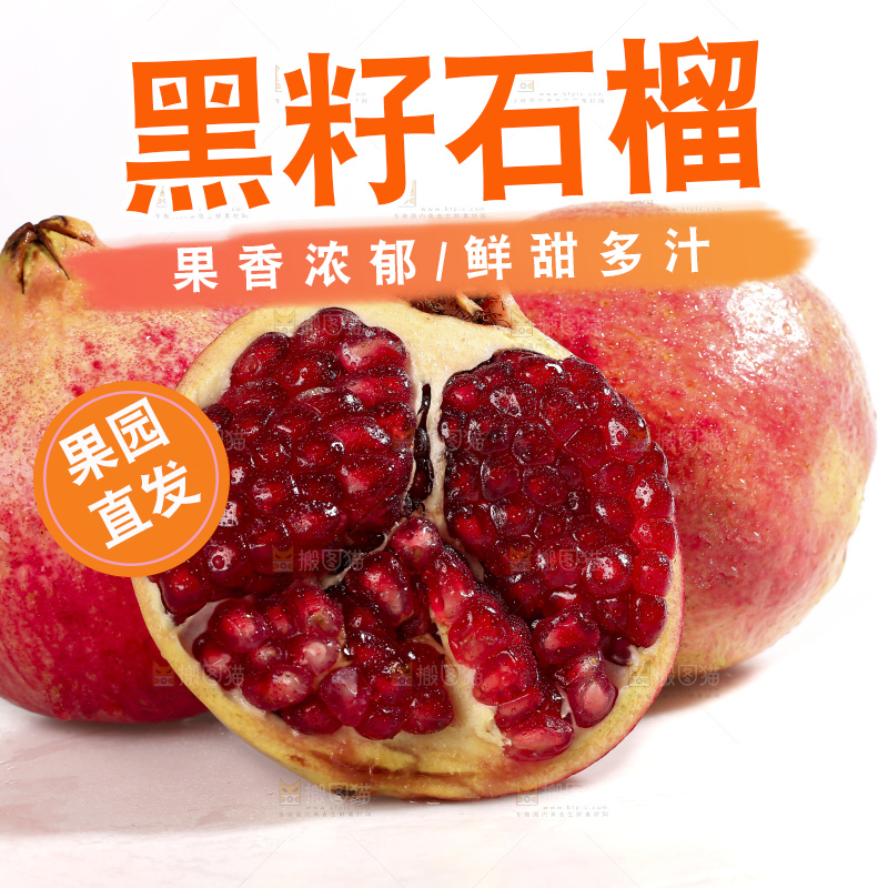 白底上的突尼斯软籽石榴