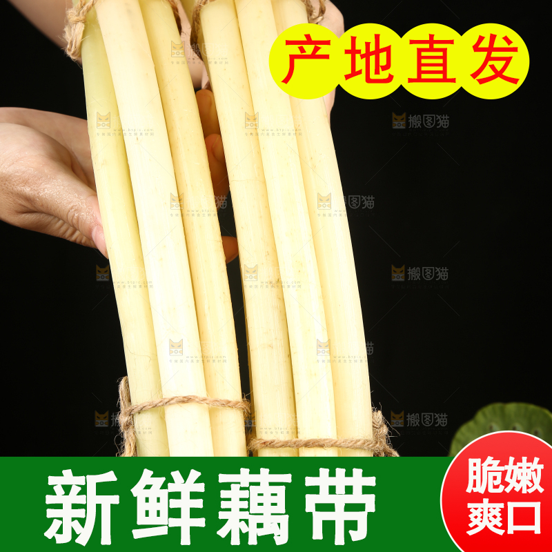 深底上放着藕带