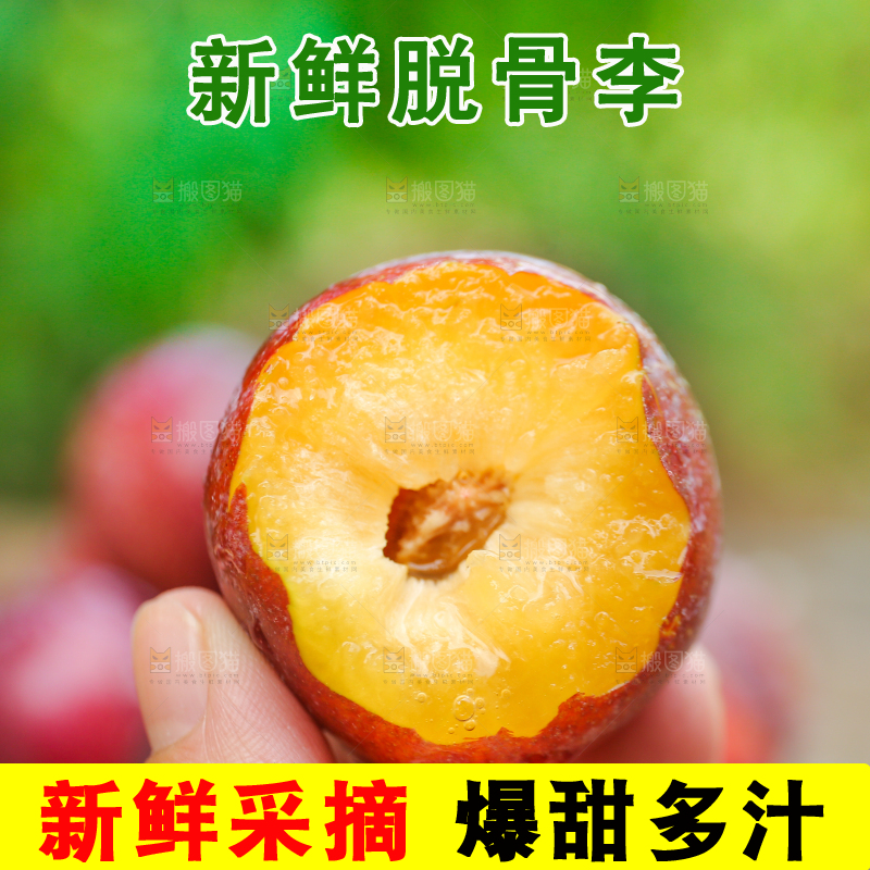 木底上放着红脱骨李