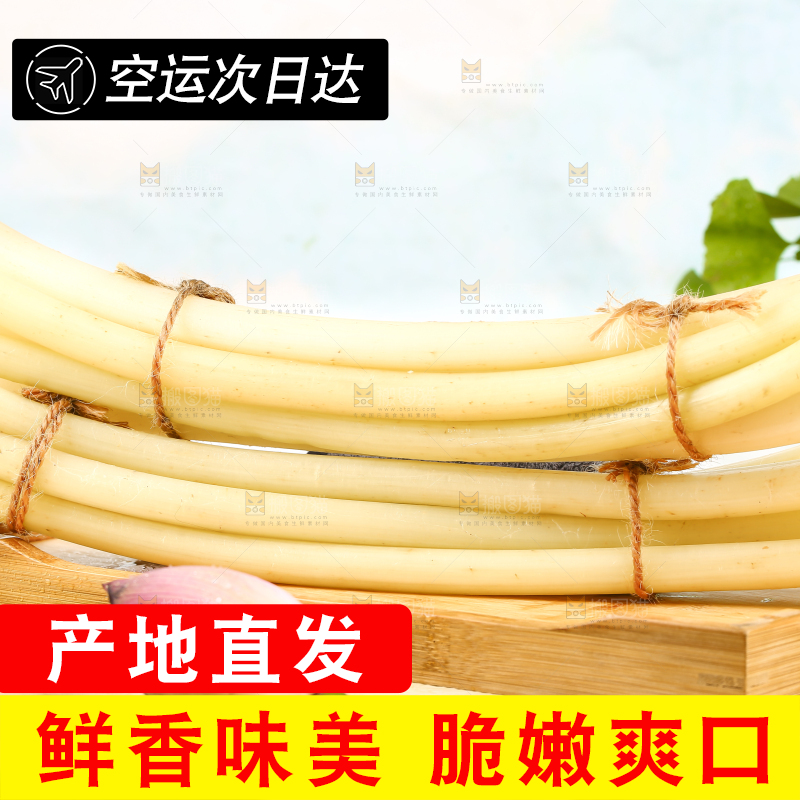 浅底上的藕带