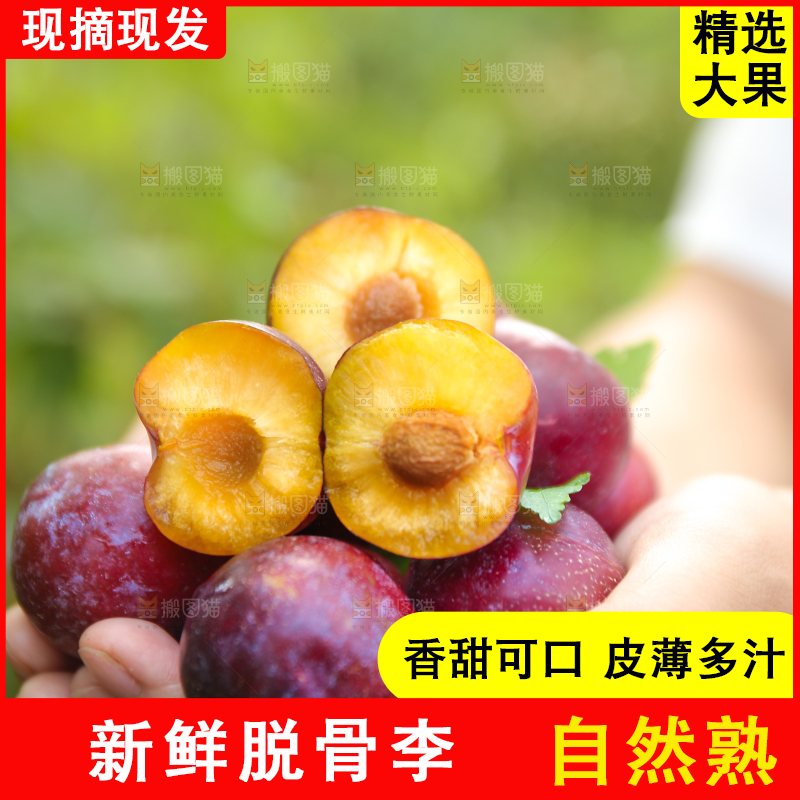 木底上放着红脱骨李
