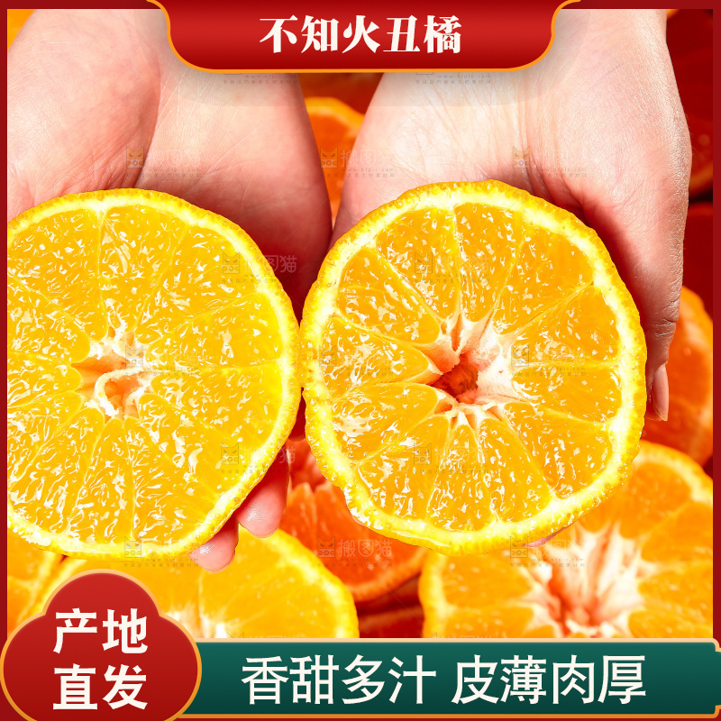 白底上放着切开的新鲜丑柑