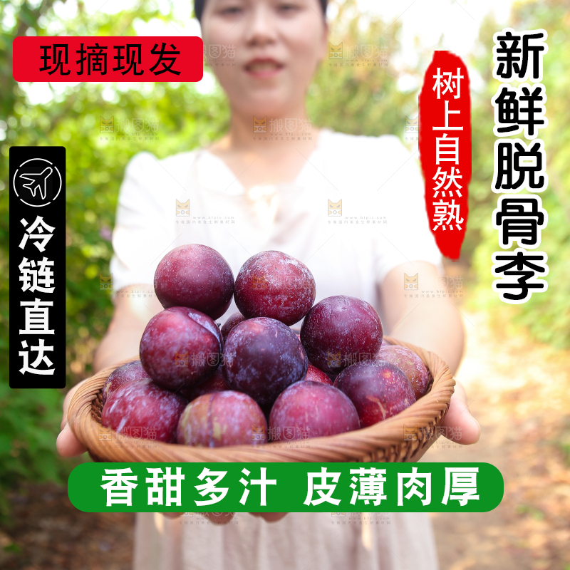 木底上放着红脱骨李