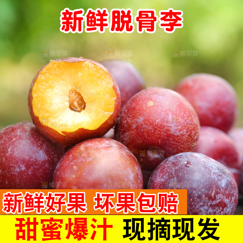 木底上放着红脱骨李