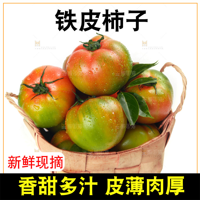 白底上放着铁皮西红柿