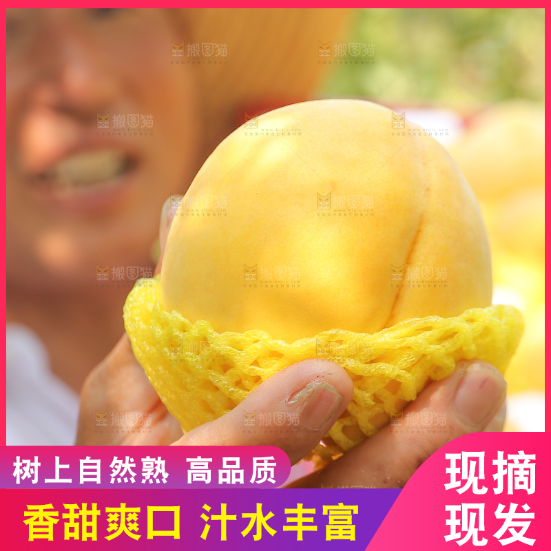 手里拿着炎陵黄桃