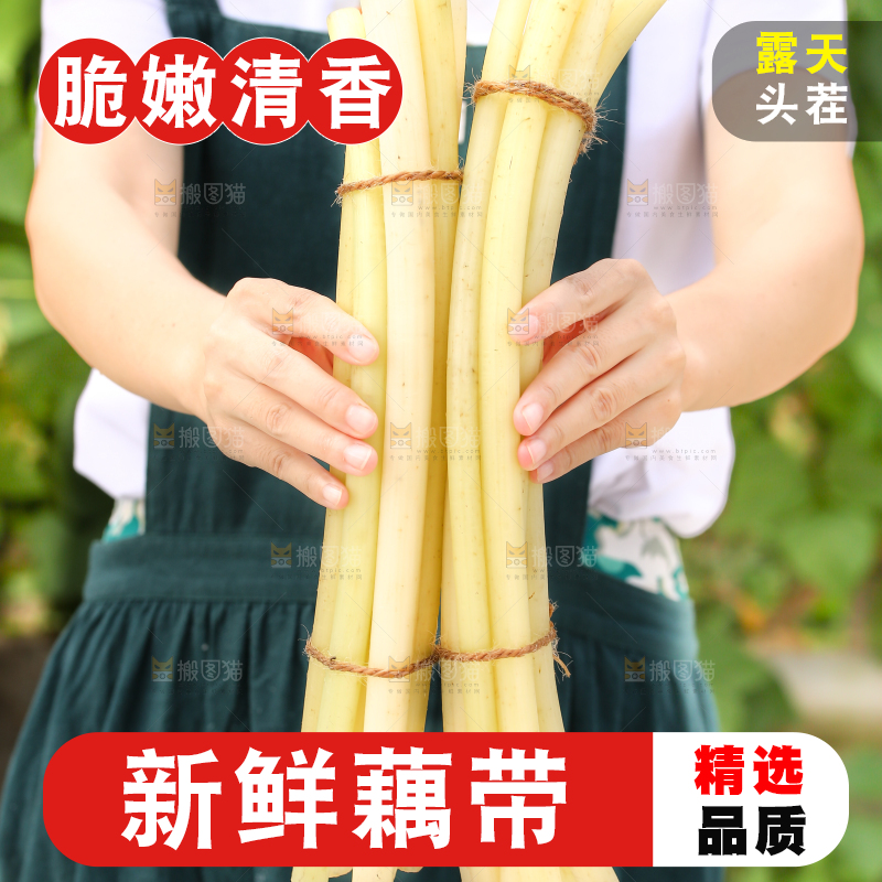 手里拿着藕带