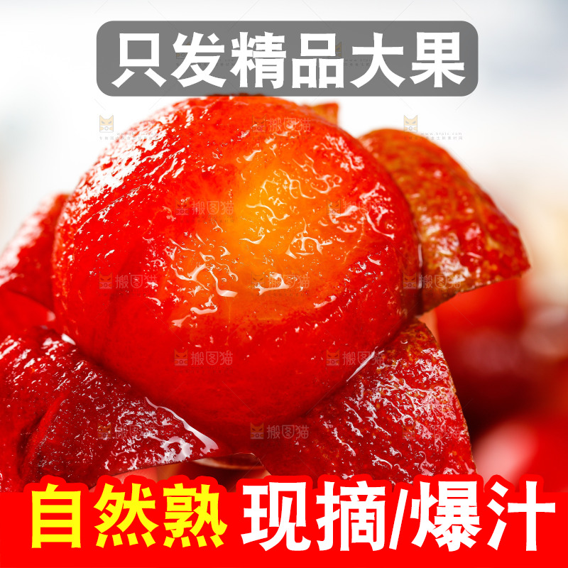 白底上的樱桃李