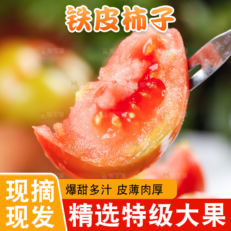 浅底上的铁皮西红柿