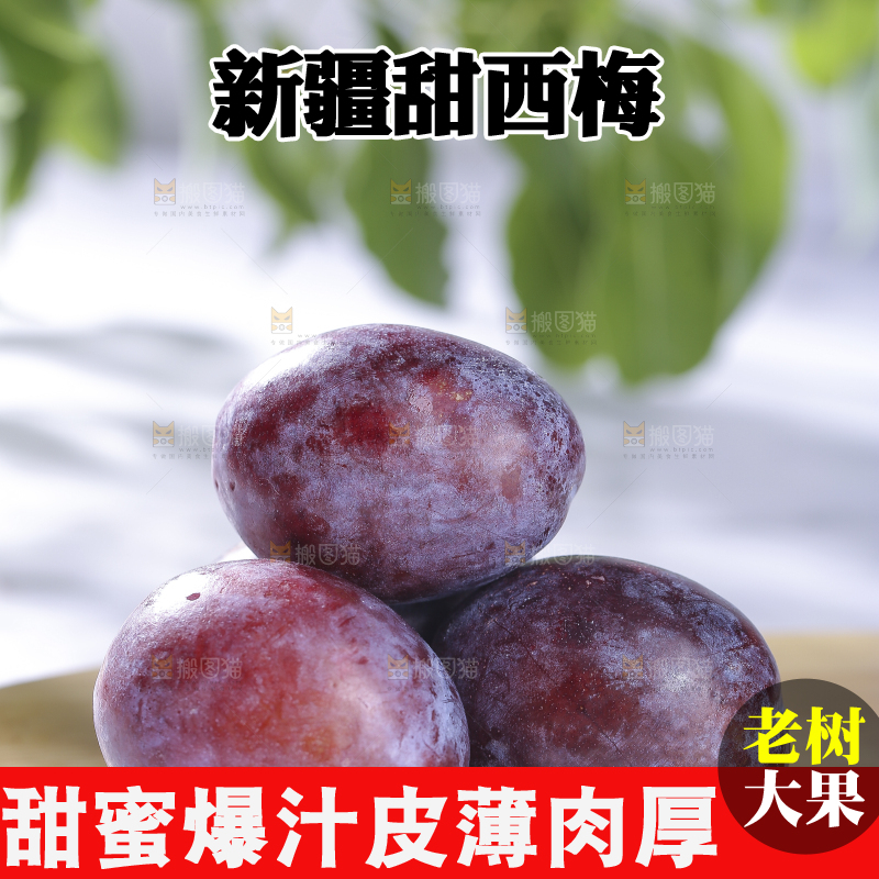 浅底上的西梅