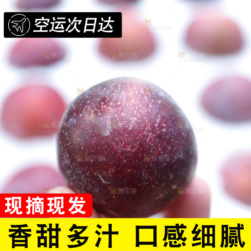 木底上放着红脱骨李
