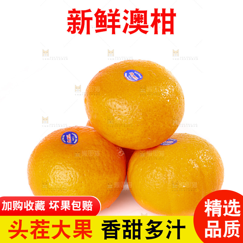 白底上放着新鲜澳柑