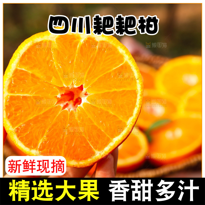 草地上的耙耙柑