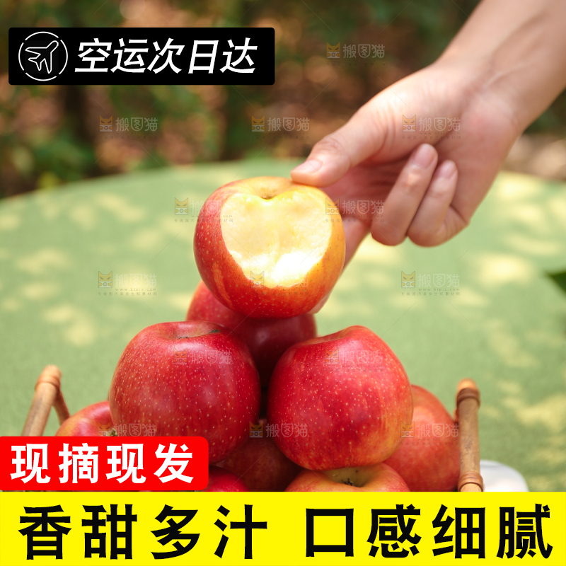 手里拿着高原红苹果