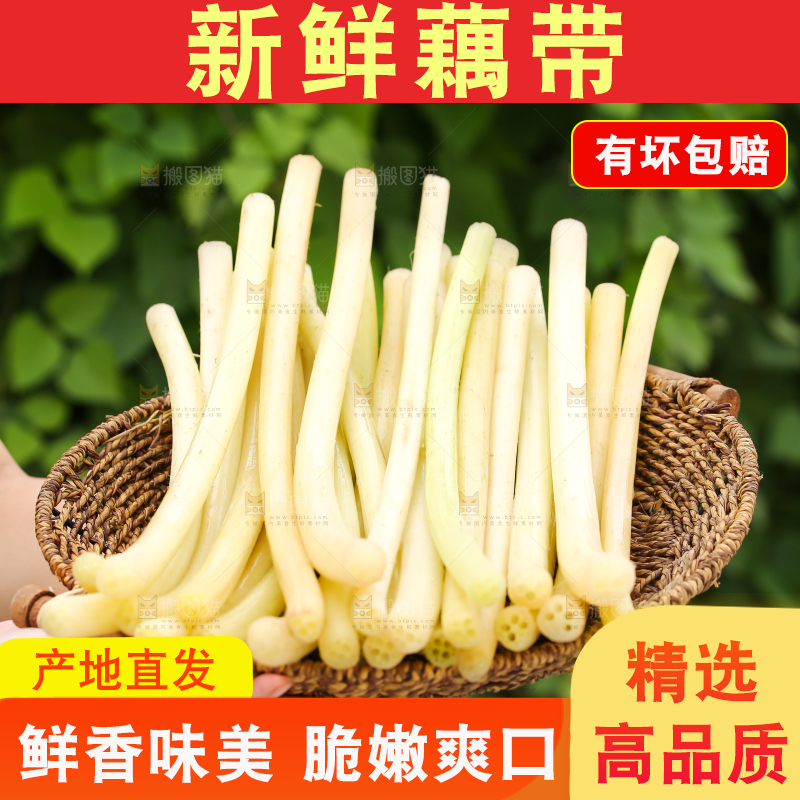 手里拿着藕带