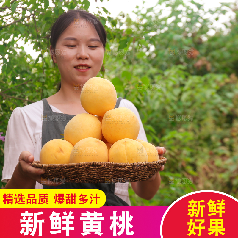 手里拿着炎陵黄桃