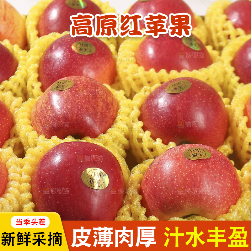 浅底上的高原红苹果