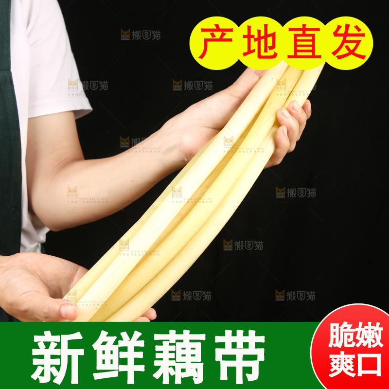 深底上放着藕带