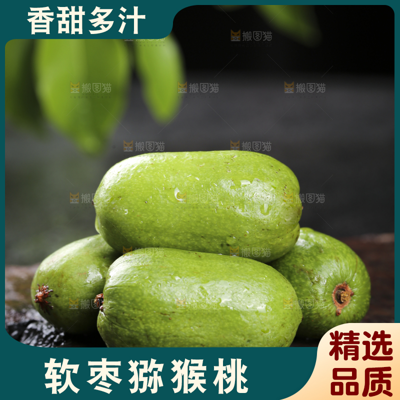 深底上的软枣猕猴桃
