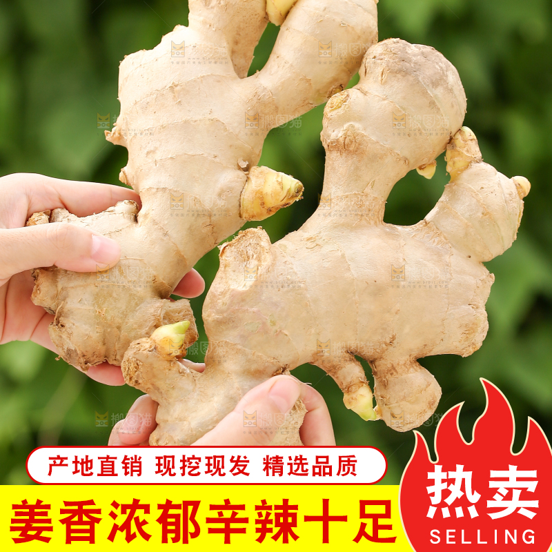 手里拿着生姜