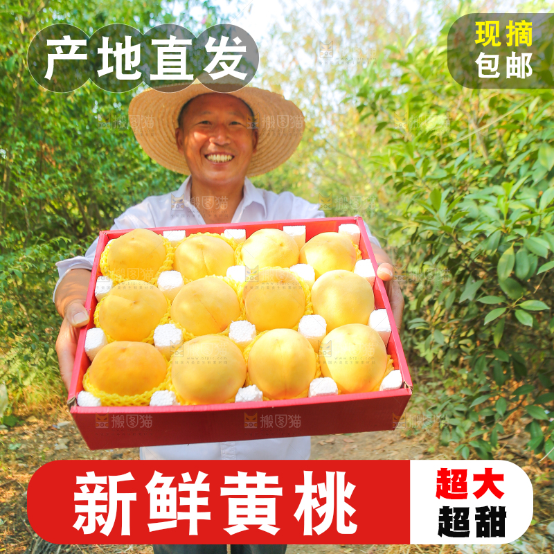 手里拿着炎陵黄桃