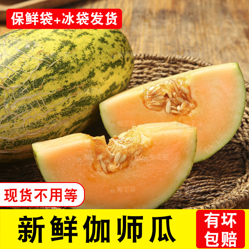 木底上放着伽师瓜