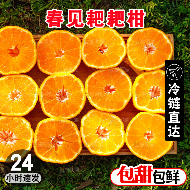 草地上的耙耙柑