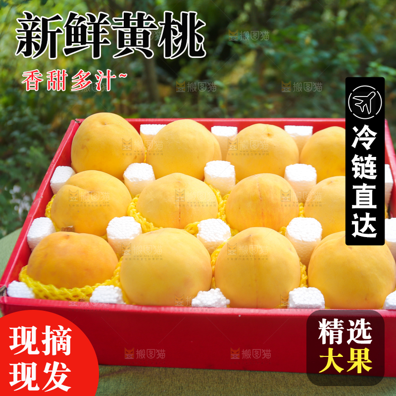 手里拿着炎陵黄桃