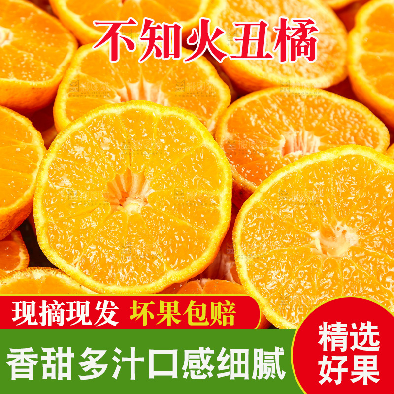 白底上放着切开的新鲜丑柑